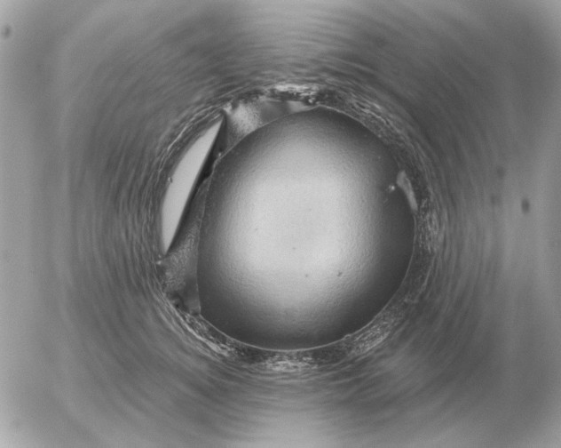 X0000052640756200507221815