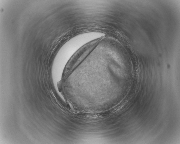 X0000052640757200507221815