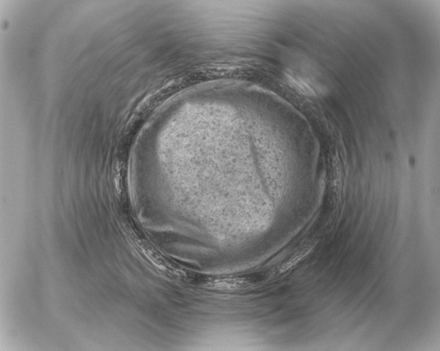 X0000052640758200507221815