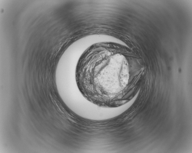 X0000052640759200507221815