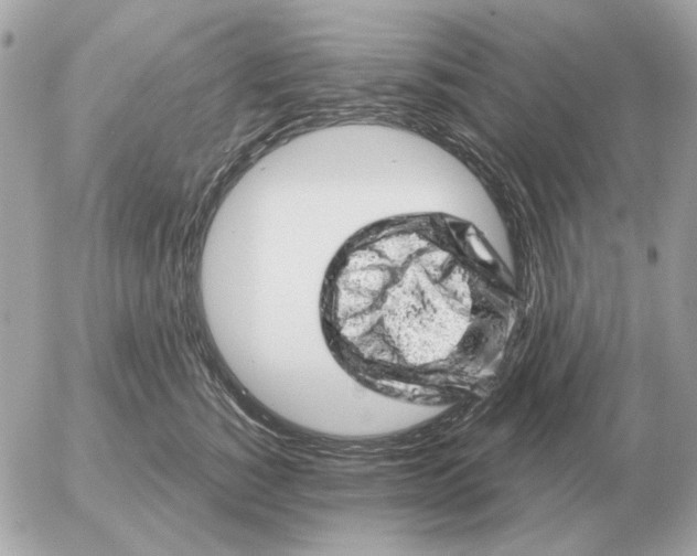 X0000052640760200507221815