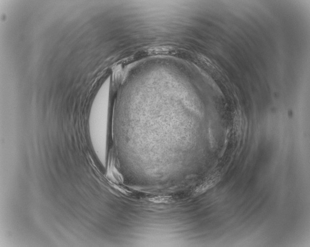 X0000052640761200507221815