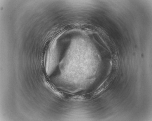 X0000052640762200507221815