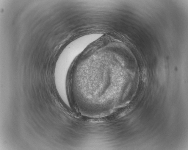 X0000052640763200507221815