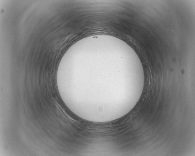 X0000052640764200507221815