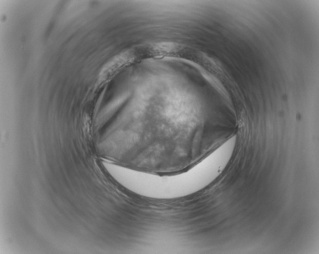 X0000052640765200507221815