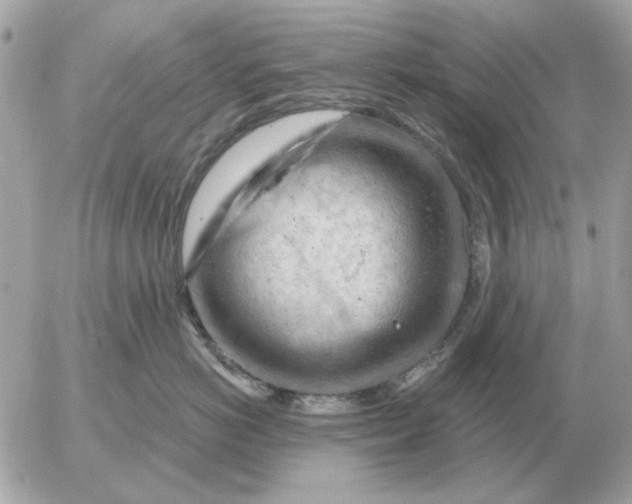 X0000052640766200507221815