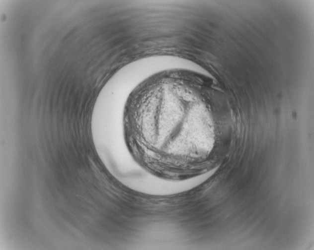 X0000052640767200507221815