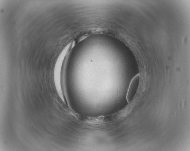 X0000052640768200507221815