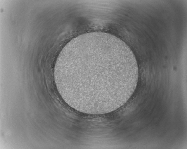 X0000052640769200507221814