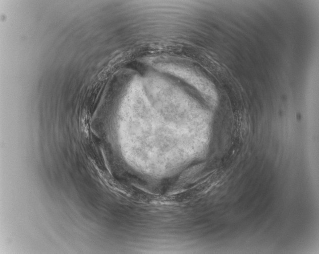 X0000052640770200507221814