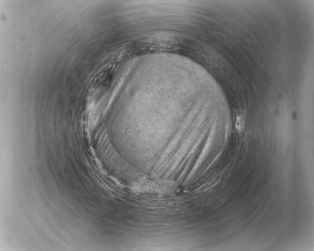 X0000052640771200507221814