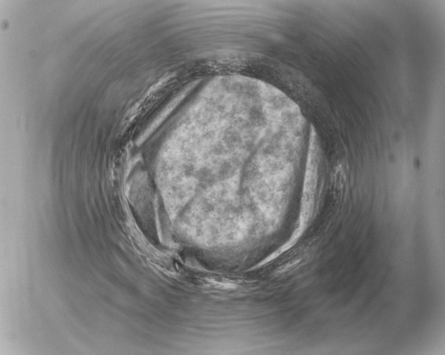 X0000052640772200507221814