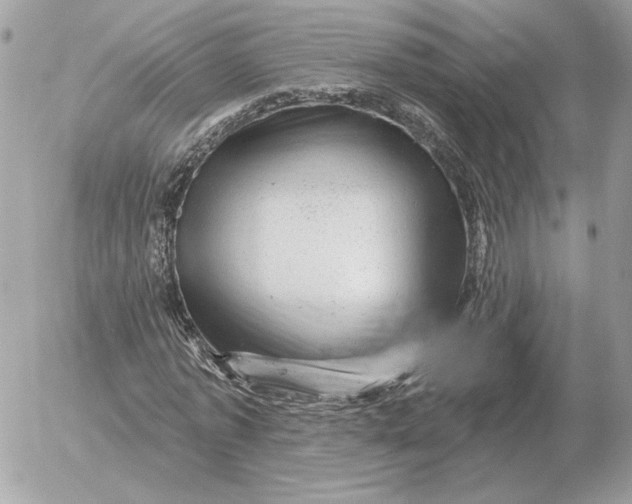 X0000052640773200507221814