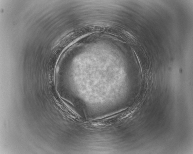 X0000052640774200507221814