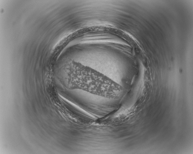 X0000052640775200507221814