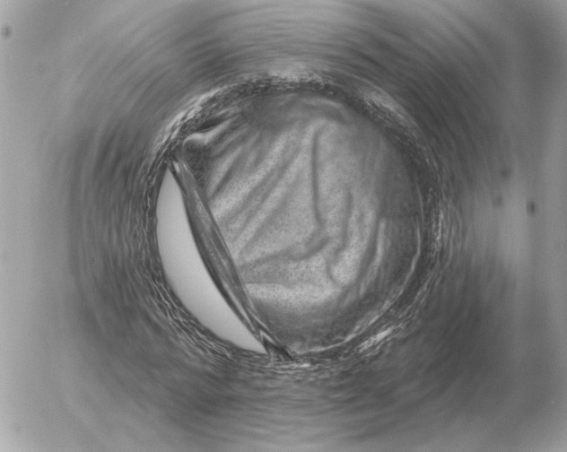 X0000052640776200507221814