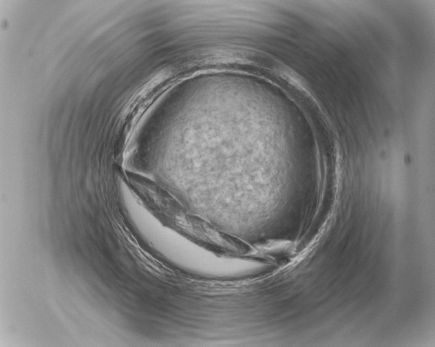 X0000052640777200507221814