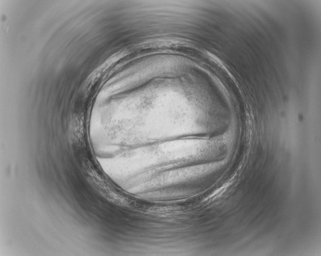 X0000052640778200507221814