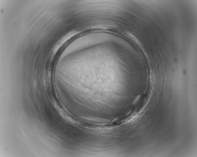 X0000052640779200507221814