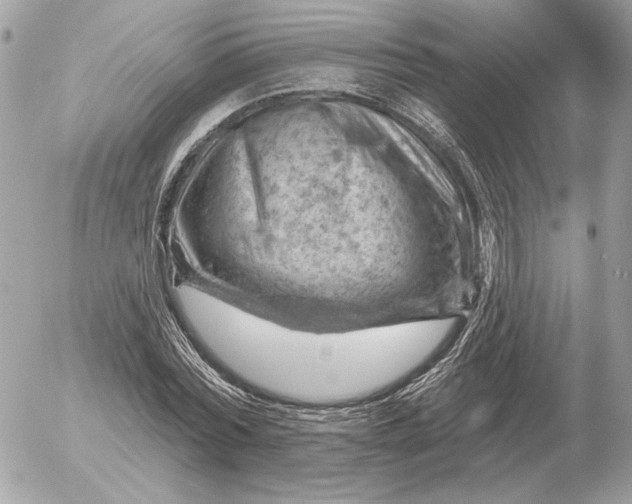 X0000052640780200507221814