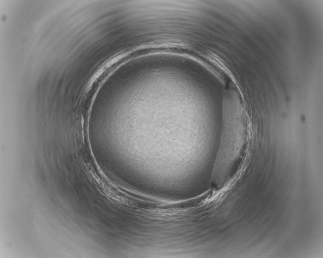 X0000052640781200507221814