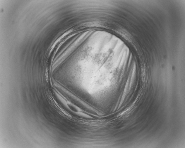 X0000052640782200507221814