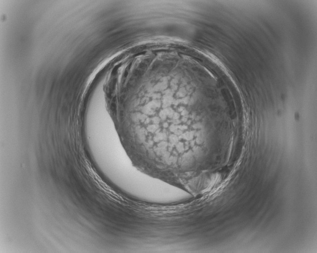 X0000052640783200507221814