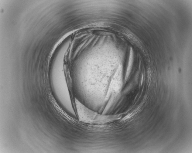 X0000052640784200507221814