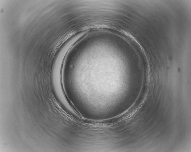 X0000052640785200507221814