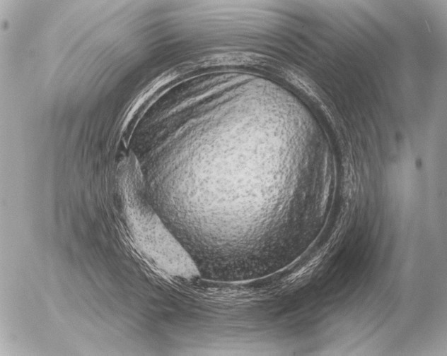 X0000052640786200507221814