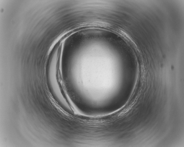 X0000052640788200507221814