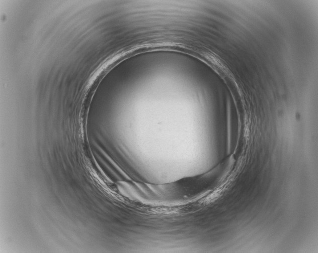 X0000052640789200507221814