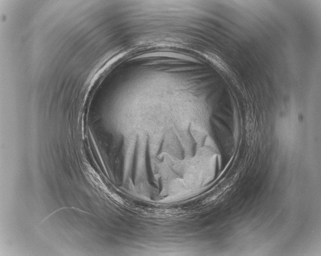 X0000052640790200507221814