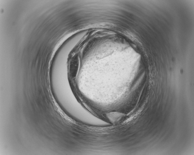 X0000052640792200507221814