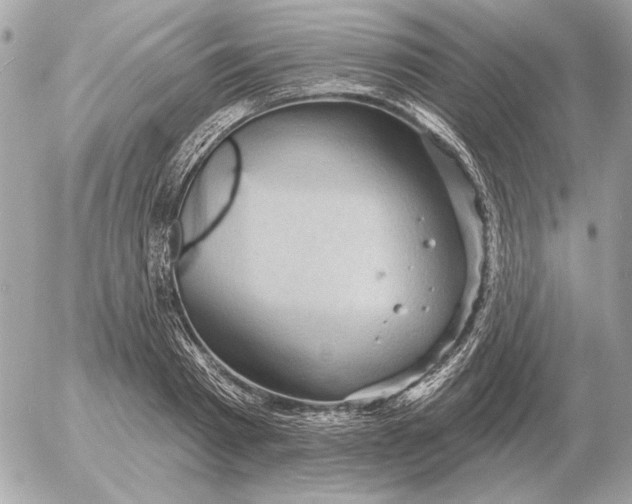 X0000052640793200507221814