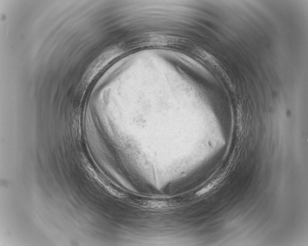 X0000052640794200507221814