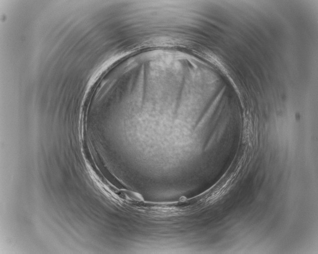 X0000052640795200507221814