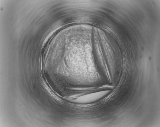 X0000052640796200507221814