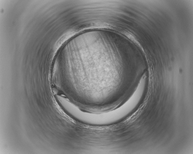 X0000052640797200507221814