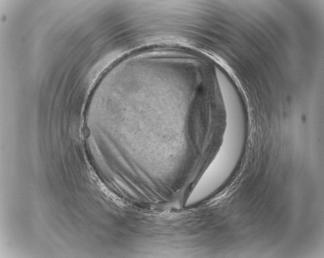 X0000052640799200507221814