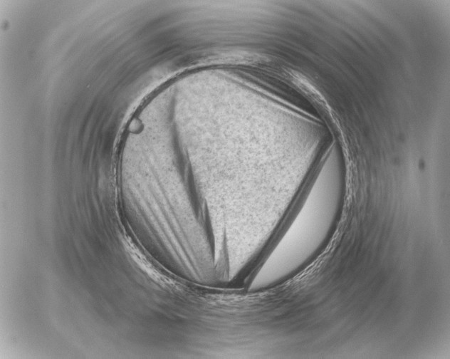 X0000052640800200507221814