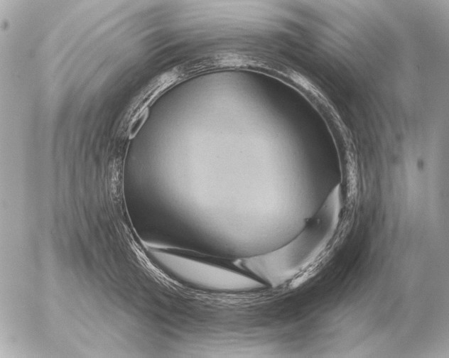 X0000052640801200507221814