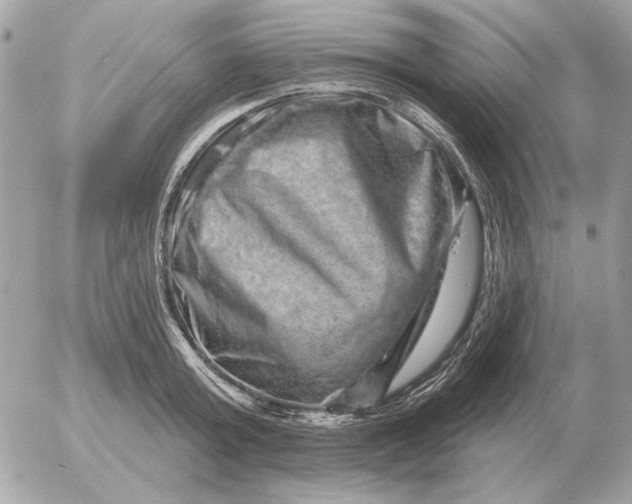 X0000052640803200507221814