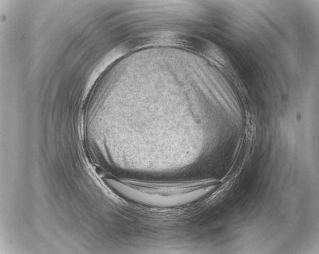 X0000052640804200507221814