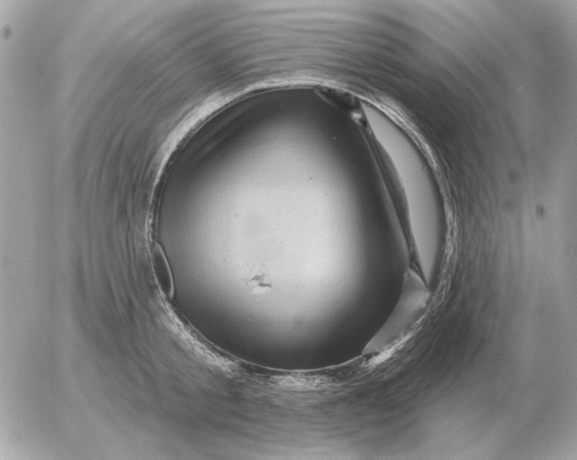 X0000052640805200507221814