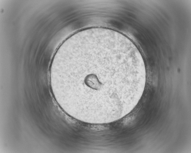 X0000052640807200507221814