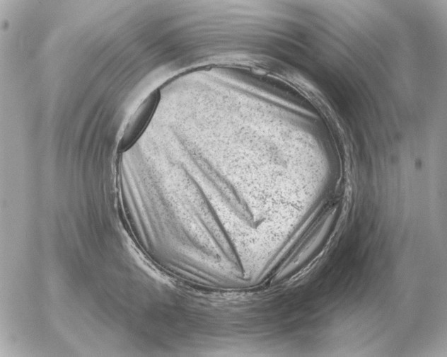 X0000052640808200507221814