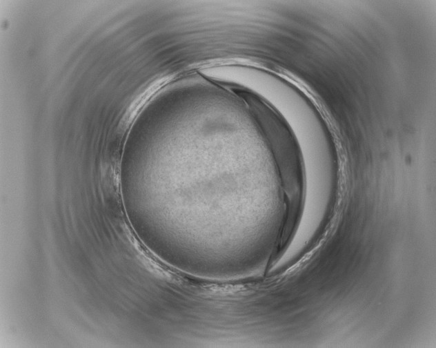 X0000052640809200507221814