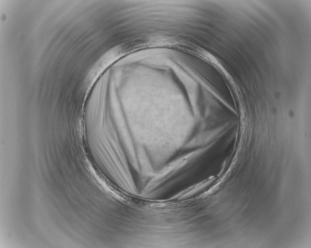 X0000052640810200507221814